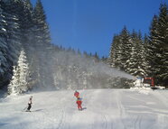 Bild vom Skigebiet Aichelberglifte - Karlstift