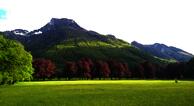 Schlossblick