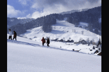 Bild vom Skigebiet Bödele - Schwarzenberg