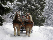 Bild vom Skigebiet Giller-Hilchenbach-Lützel