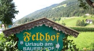 zur Vergrößerung klicken