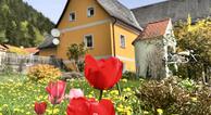 Ferienwohnung Mixnitz-Bärenschützklamm