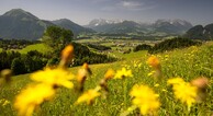 zur Vergrerung klicken