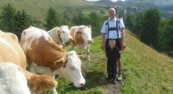 zur Vergrerung klicken