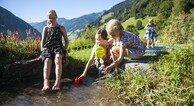 zur Vergrößerung klicken