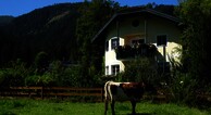 Haus Geistlinger M. und P.