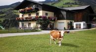 Rieserhof Ferienwohnung Meißnitzer