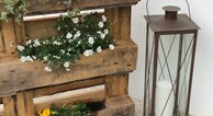zur Vergrerung klicken