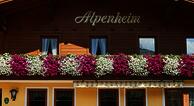 Haus Alpenheim