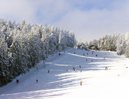 Bild vom Skigebiet Sternstein Lifte