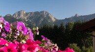 zur Vergrerung klicken