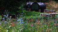 Igluhuts Passail