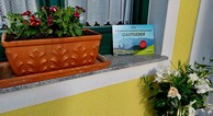 zur Vergrößerung klicken