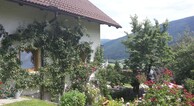 zur Vergrerung klicken