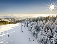 Bild vom Skigebiet Skilift Jauerling