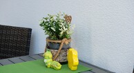 zur Vergrößerung klicken