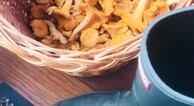 zur Vergrerung klicken