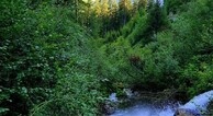 zur Vergrerung klicken