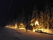 Bild vom Skigebiet Grünbach