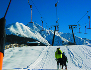 Bild vom Skigebiet Geigenbühel und Birkenlift / Seefeld