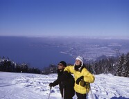 Bild vom Skigebiet Pfänder - Bregenz