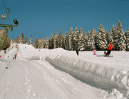 Bild vom Skigebiet Familienschaukel Alpl