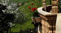 Pension Berghof