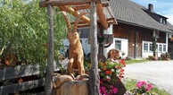 zur Vergrößerung klicken