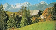 zur Vergrößerung klicken