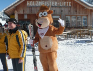 Bild vom Skigebiet Holzmeisterlifte Sommeralm