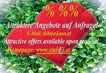 Bild von der Unterkunft