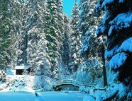Bild vom Skigebiet Skizentrum Enzklösterle