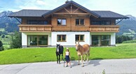 zur Vergrößerung klicken