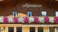 zur Vergrerung klicken