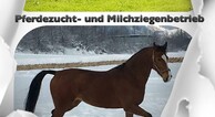 zur Vergrößerung klicken