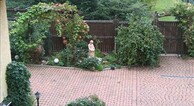 zur Vergrerung klicken