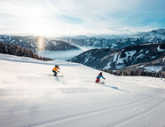 Bild vom Skigebiet Schmittenhöhe