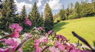 zur Vergrerung klicken