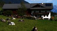 Musterhof