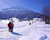 Bild vom Skigebiet Skizentrum Pfronten