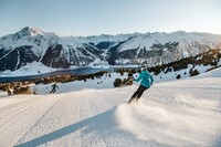 Schneben / Haideralm