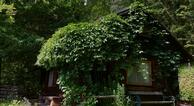 Kräutlhütte Auer