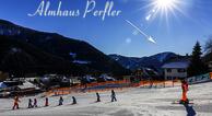 Ferien-Almhaus Perfler