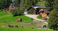 Zauchtalerhof