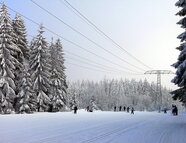 Bild vom Skigebiet Grünbach
