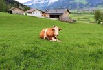 Bild von der Unterkunft