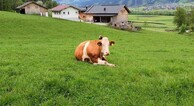 zur Vergrößerung klicken