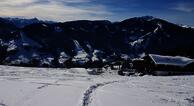 Alpengasthof Pension Rapoldsberg
