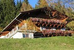 Bild von der Unterkunft