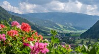 zur Vergrößerung klicken
